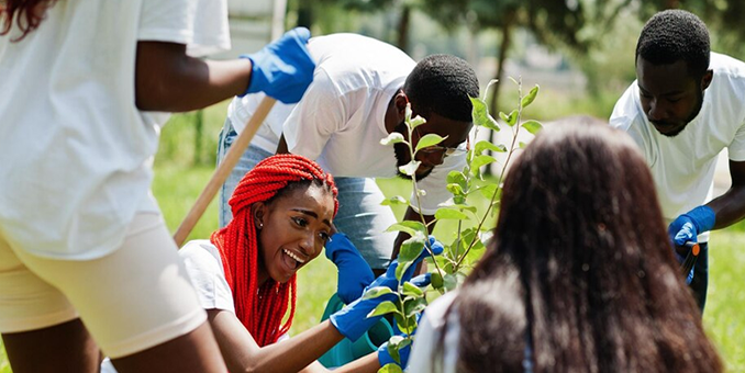 Environmental Conservation Project